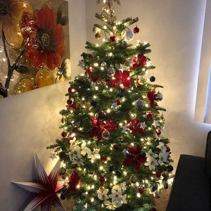 Meet your Posher, Veroveronica